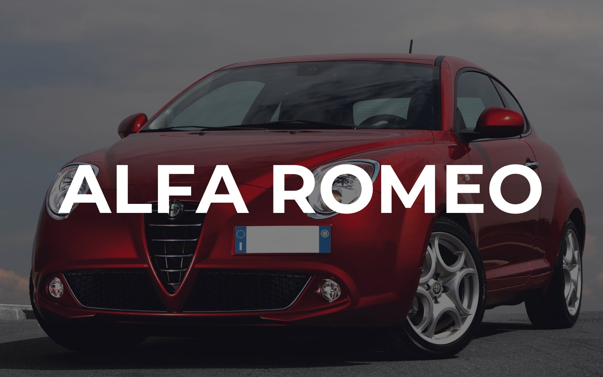 Compatibili con Alfa