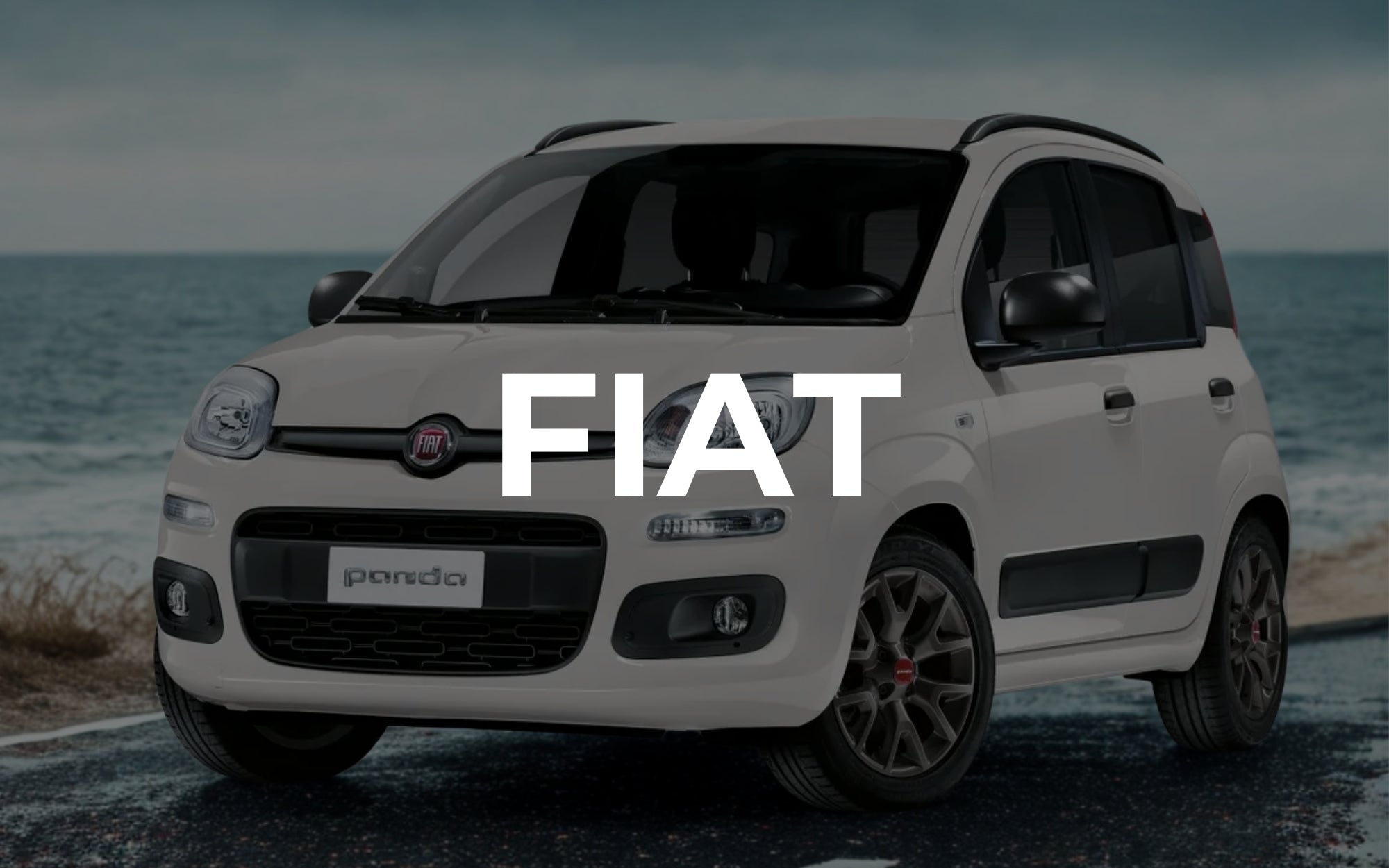 Compatibili con Fiat
