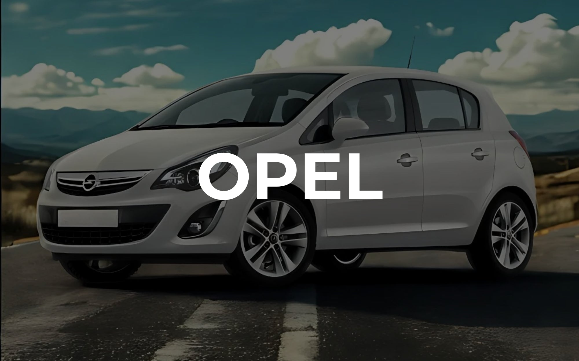 Compatibili con Opel