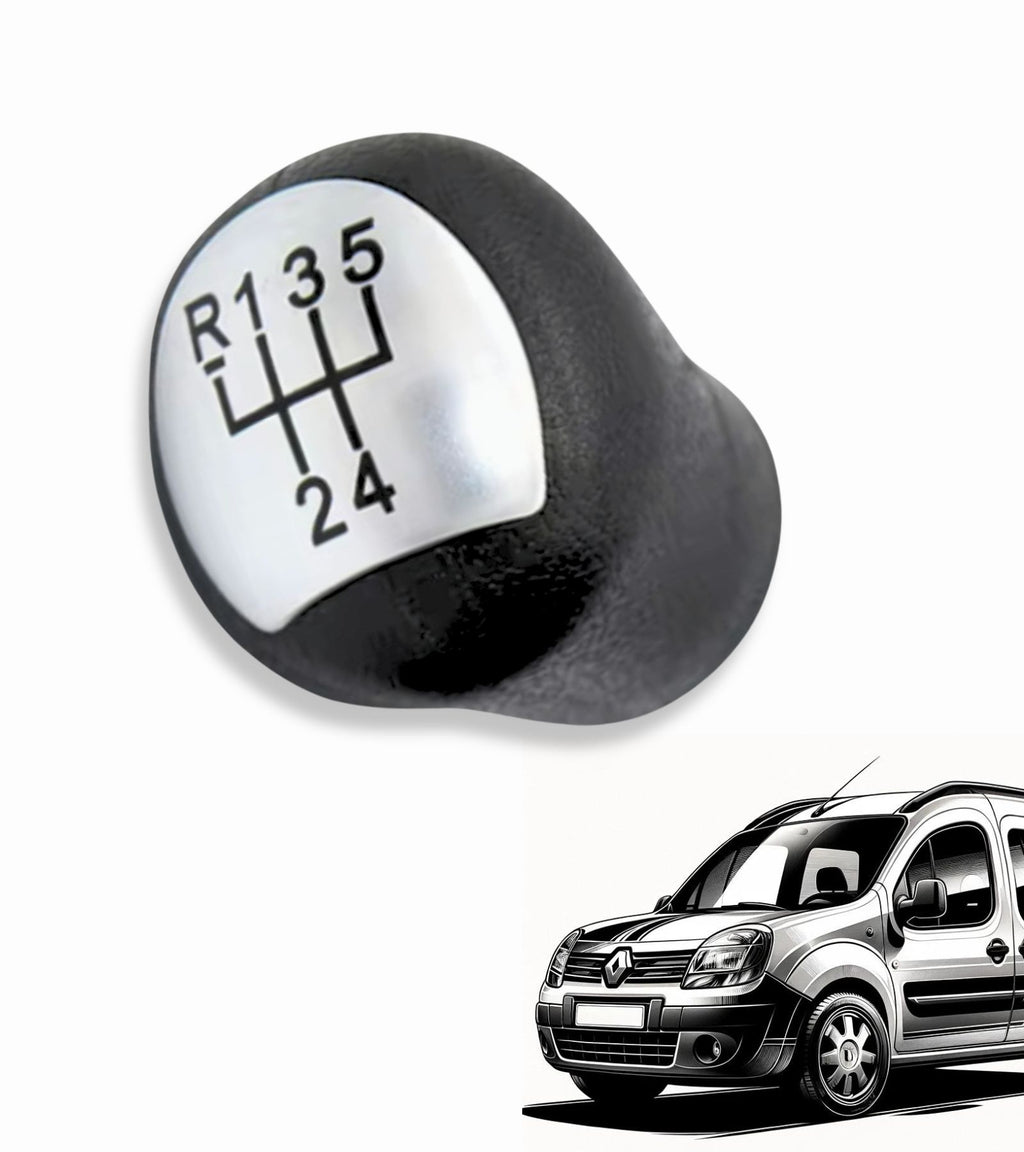 Pomello Cambio 5 Marce Manuale Compatibile con Renault Kangoo 2006-2008, Placca Argento