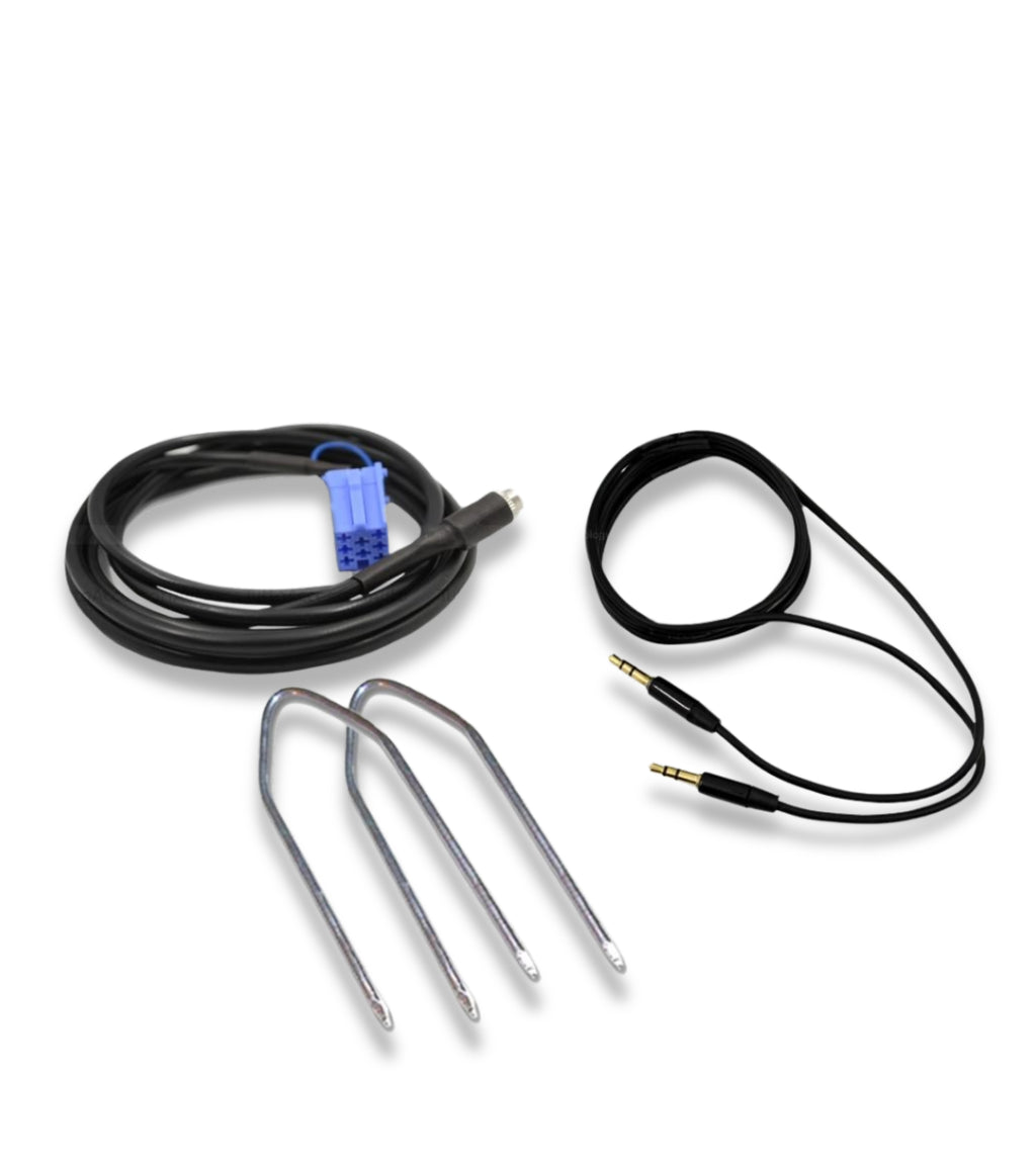 Aux Cable Adapter For Car Radio Delphi Bosch Auto Fiat 500 Punto Panda Lancia Y Alfa Romeo With Female Jack And Jumper + Extraction Kit + Rubber Coated Audio Cable Smartphone