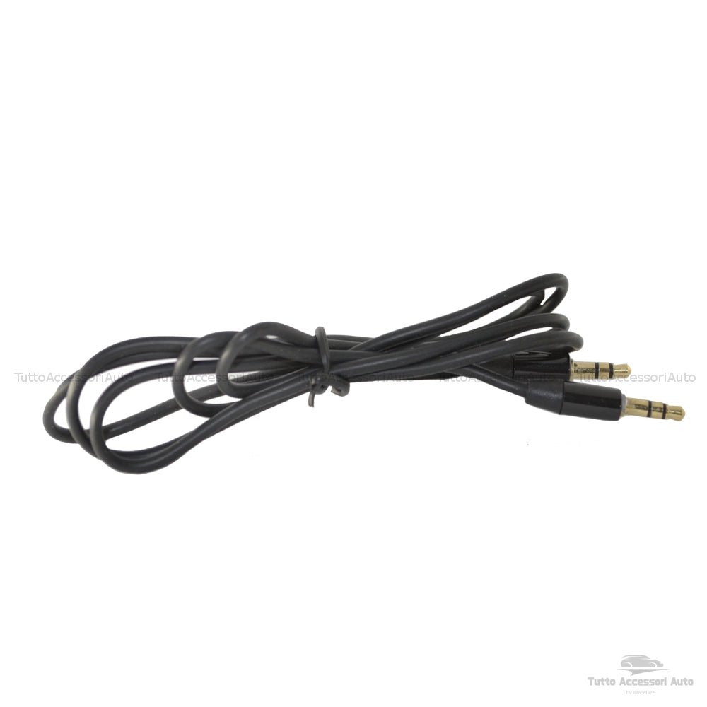 Cavo Aux Jack Femmina per Fiat Lancia Autoradio Delphi Grundig Bosch Scritta No Source Available No Blue&me + Kit Estrazione + Cavo Audio Jack Maschio