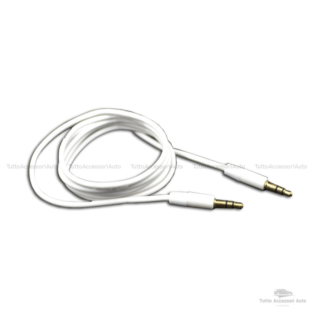 Aux Audio Cable In Female Jack For Mp3 Smartphone Iphone Car Fiat Lancia Car Radio Delphi Grundig Bosch With WritingNo Source Available No Blue&amp;Me + 3.5mm Male Jack Audio Cable